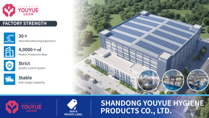 wipes manufacture(1)